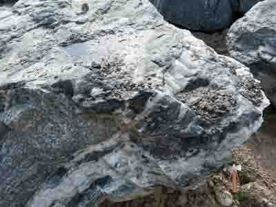 Findlinge - Gneis Felsen 40-160 - Fin-13303-01_02T - Steinbruch Huber